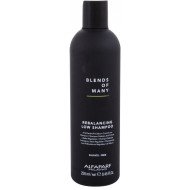 Alfaparf Blends Of Many- Līdzsvarojošs šampūns vīriešiem pret blaugznām un taukainai galvas ādai 250 ml. Alfaparf Blends Of Many- Līdzsvarojošs šampūns vīriešiem pret blaugznām un taukainai galvas ādai 250 ml.