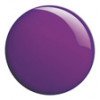 I000026501 Purple 